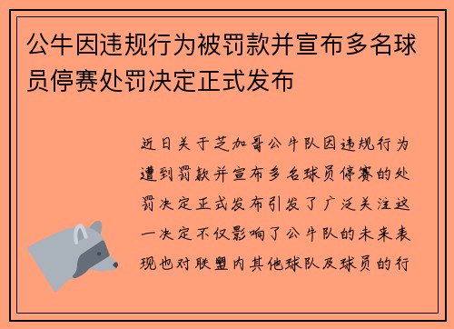 公牛因违规行为被罚款并宣布多名球员停赛处罚决定正式发布