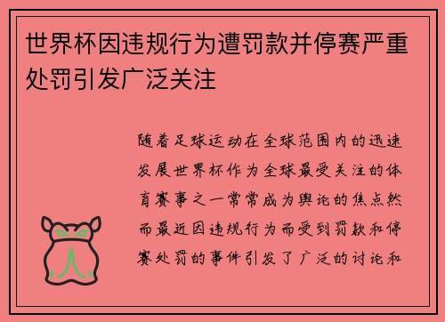 世界杯因违规行为遭罚款并停赛严重处罚引发广泛关注